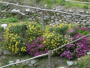 Click here for full details.